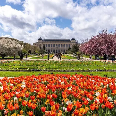 Tres Joli Renove Quartier Notre-dame Jardin Des Plantes Pantheon Pres De La Seine Apartment Paris