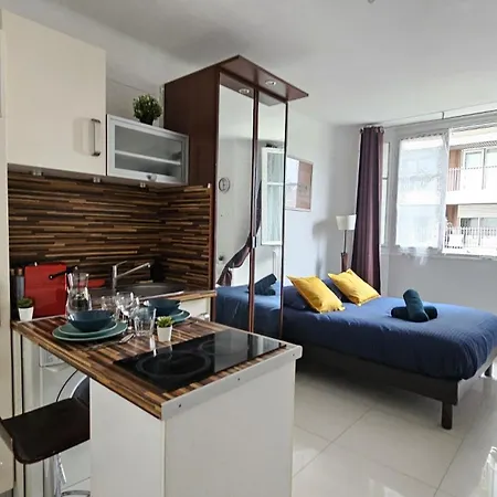 Tres Joli Renove Quartier Notre-dame Jardin Des Plantes Pantheon Pres De La Seine Apartment *