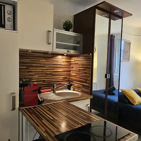 Tres Joli Renove Quartier Notre-dame Jardin Des Plantes Pantheon Pres De La Seine Apartment *