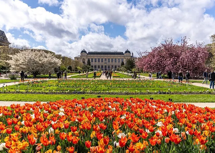 Tres Joli Renove Quartier Notre-dame Jardin Des Plantes Pantheon Pres De La Seine شقة باريس